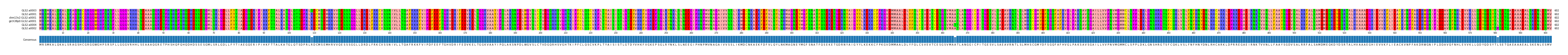 Multiple Alignments (by translate haplotype similarity)