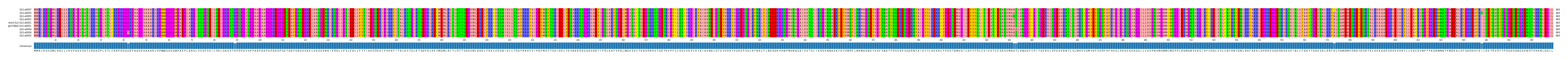 Multiple Alignments (by translate haplotype similarity)