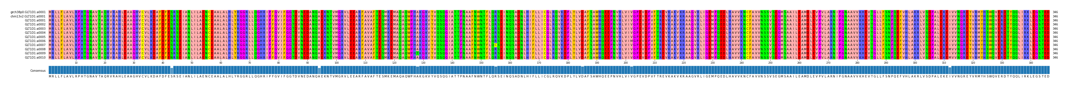 Multiple Alignments (by translate haplotype frequency)