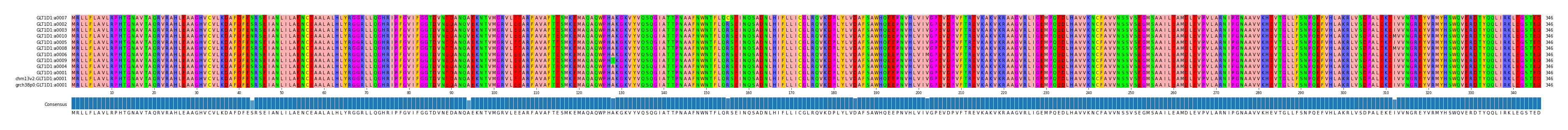 Multiple Alignments (by translate haplotype similarity)