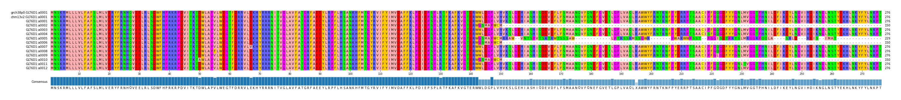 Multiple Alignments (by translate haplotype frequency)