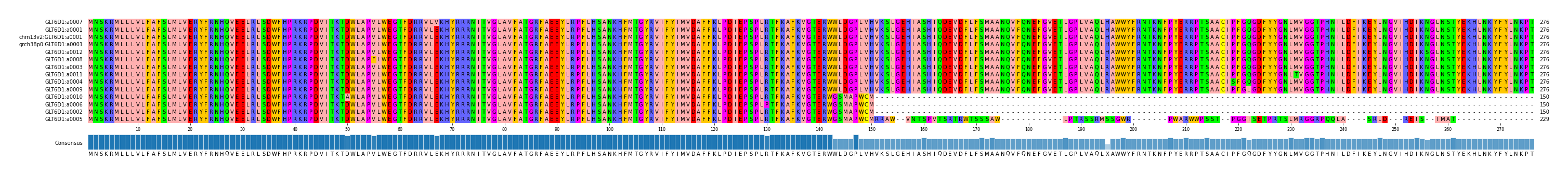 Multiple Alignments (by translate haplotype similarity)