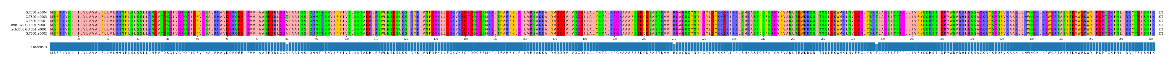 Multiple Alignments (by translate haplotype similarity)