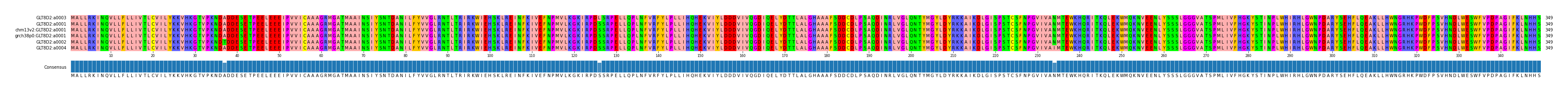 Multiple Alignments (by translate haplotype similarity)