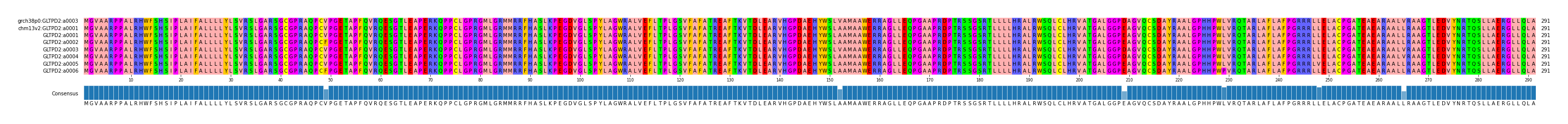 Multiple Alignments (by translate haplotype frequency)
