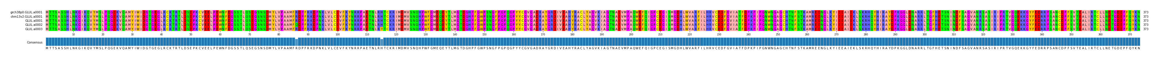 Multiple Alignments (by translate haplotype frequency)