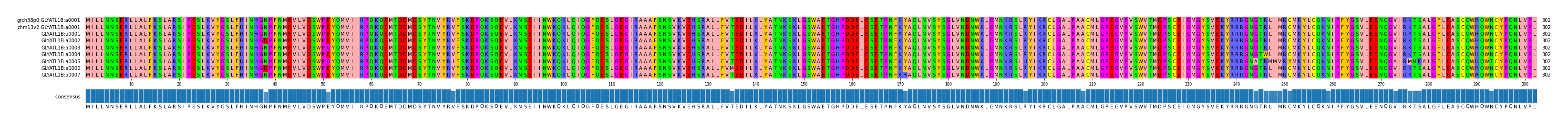 Multiple Alignments (by translate haplotype frequency)
