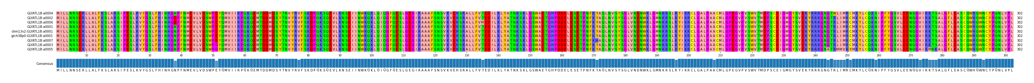 Multiple Alignments (by translate haplotype similarity)