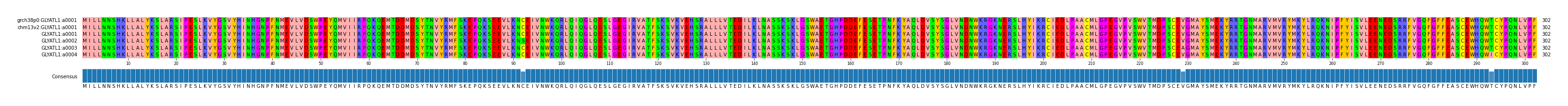 Multiple Alignments (by translate haplotype frequency)