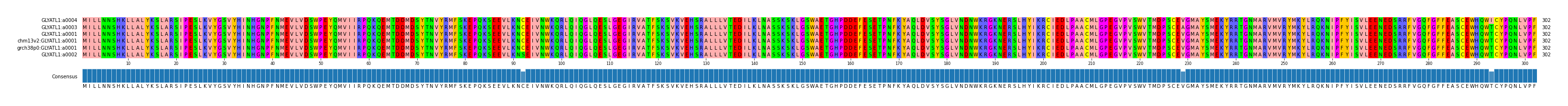 Multiple Alignments (by translate haplotype similarity)
