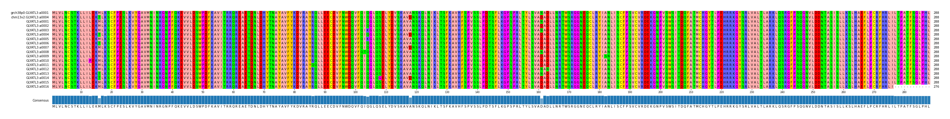 Multiple Alignments (by translate haplotype frequency)
