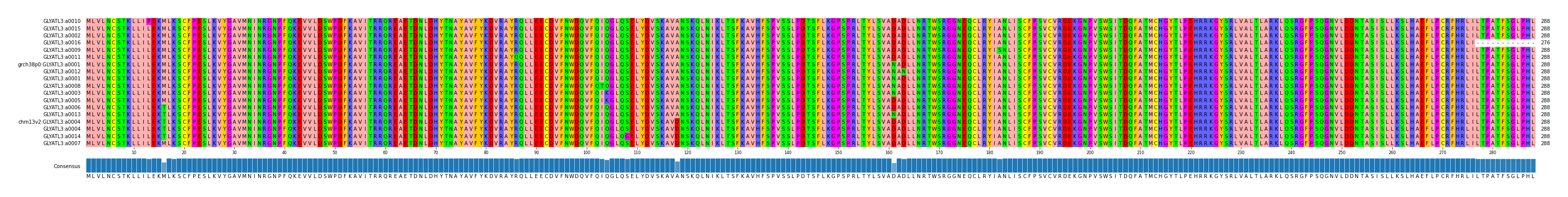 Multiple Alignments (by translate haplotype similarity)