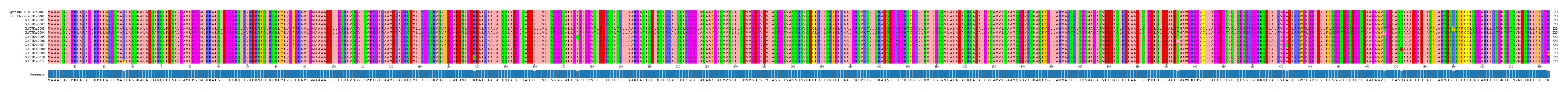 Multiple Alignments (by translate haplotype frequency)