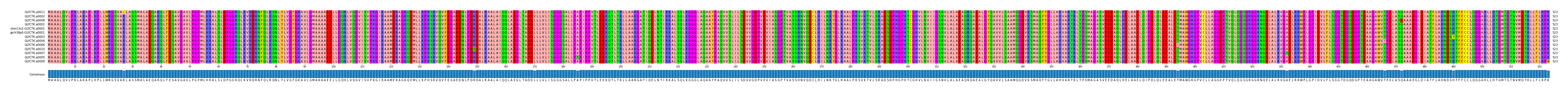 Multiple Alignments (by translate haplotype similarity)