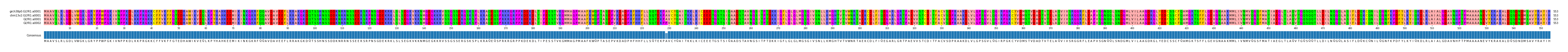 Multiple Alignments (by translate haplotype similarity)