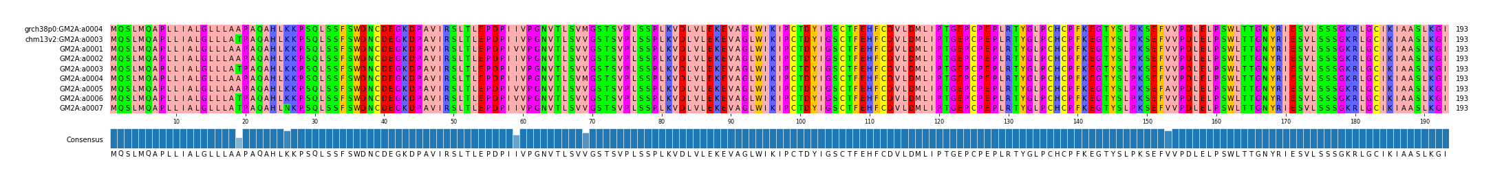 Multiple Alignments (by translate haplotype frequency)