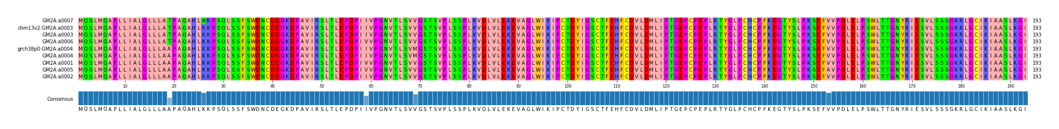 Multiple Alignments (by translate haplotype similarity)