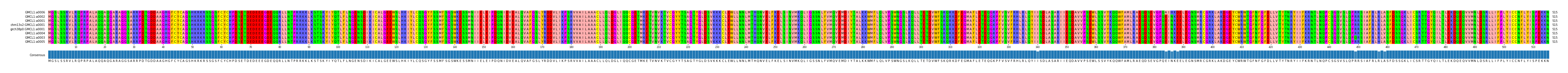 Multiple Alignments (by translate haplotype similarity)