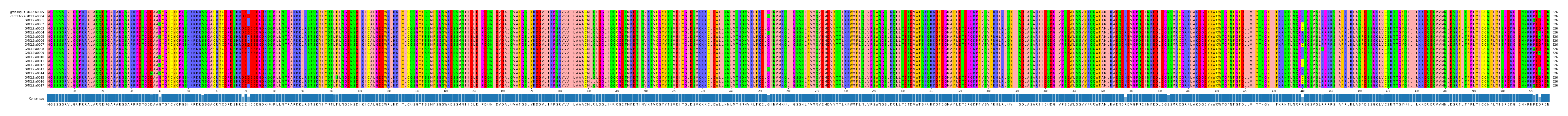Multiple Alignments (by translate haplotype frequency)