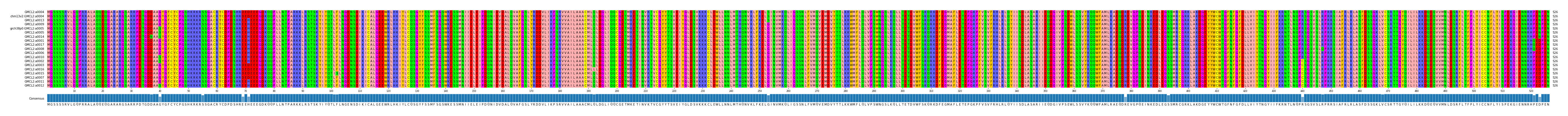 Multiple Alignments (by translate haplotype similarity)