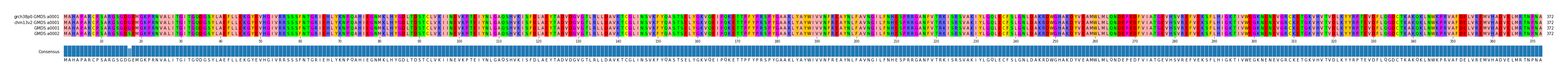Multiple Alignments (by translate haplotype similarity)