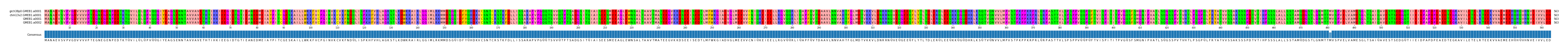 Multiple Alignments (by translate haplotype similarity)