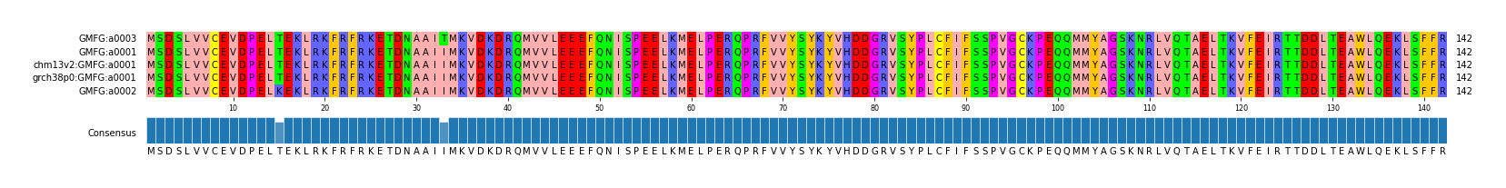 Multiple Alignments (by translate haplotype similarity)
