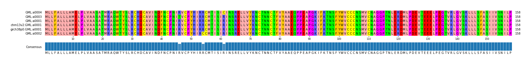 Multiple Alignments (by translate haplotype similarity)