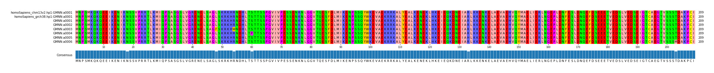 Multiple Alignments (by translate haplotype frequency)