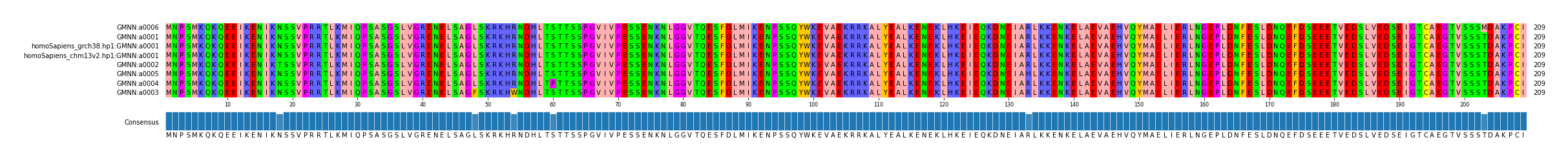 Multiple Alignments (by translate haplotype similarity)