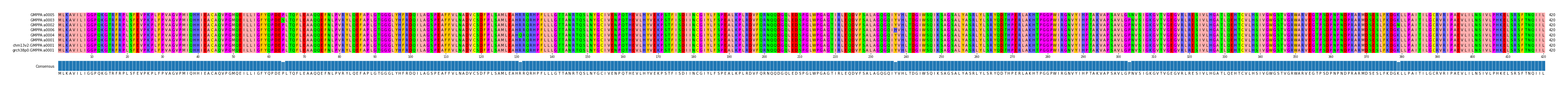 Multiple Alignments (by translate haplotype similarity)