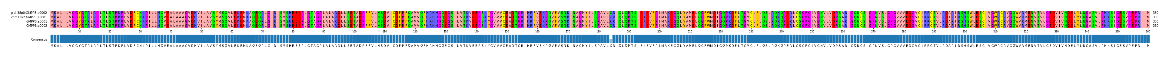 Multiple Alignments (by translate haplotype frequency)