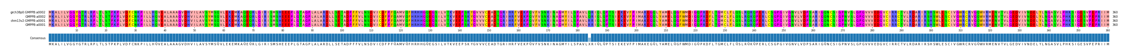 Multiple Alignments (by translate haplotype similarity)