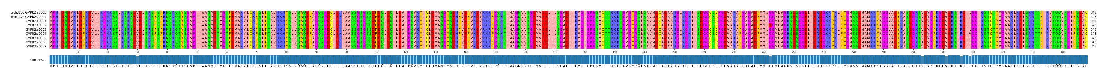 Multiple Alignments (by translate haplotype frequency)