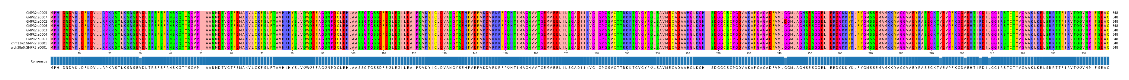 Multiple Alignments (by translate haplotype similarity)