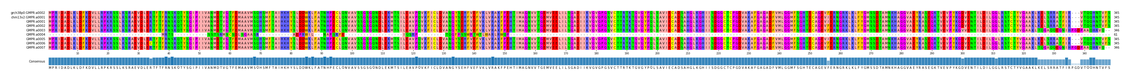 Multiple Alignments (by translate haplotype frequency)