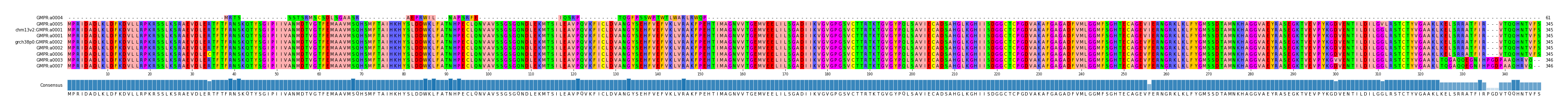 Multiple Alignments (by translate haplotype similarity)