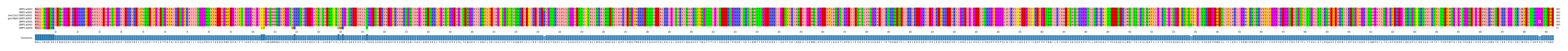 Multiple Alignments (by translate haplotype similarity)