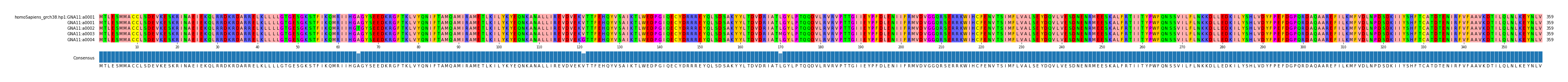 Multiple Alignments (by translate haplotype frequency)