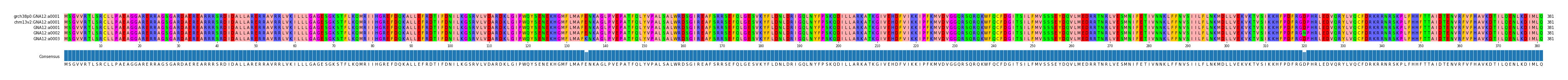 Multiple Alignments (by translate haplotype frequency)