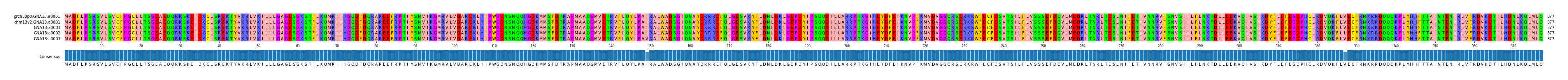 Multiple Alignments (by translate haplotype frequency)