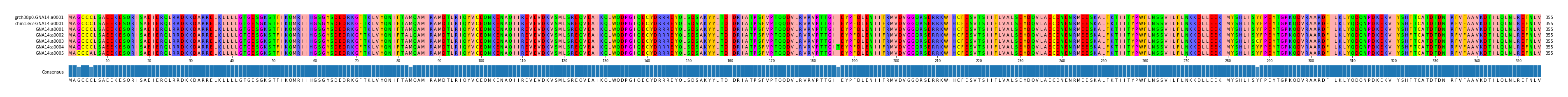 Multiple Alignments (by translate haplotype frequency)