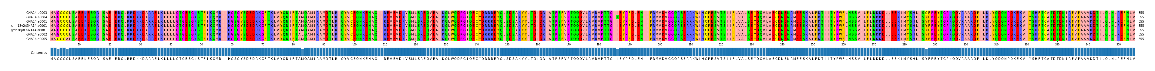 Multiple Alignments (by translate haplotype similarity)