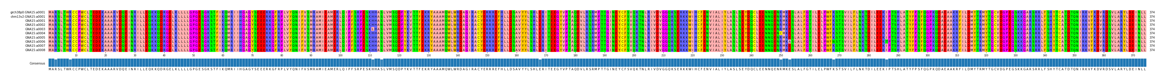 Multiple Alignments (by translate haplotype frequency)