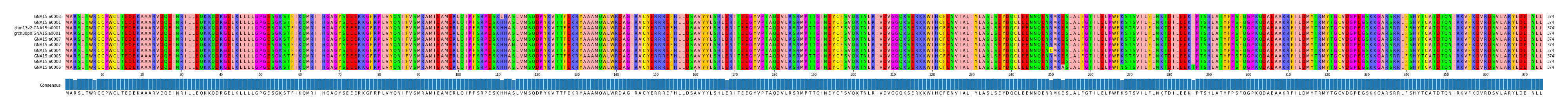 Multiple Alignments (by translate haplotype similarity)