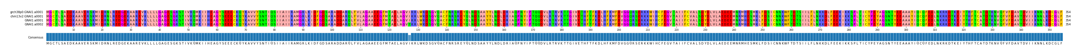 Multiple Alignments (by translate haplotype similarity)