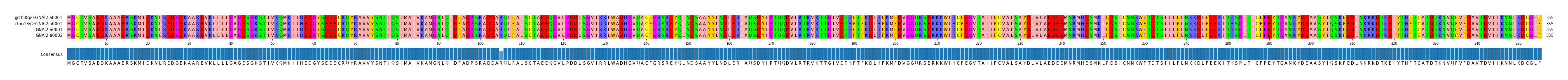 Multiple Alignments (by translate haplotype similarity)
