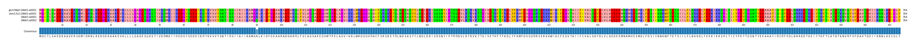 Multiple Alignments (by translate haplotype similarity)