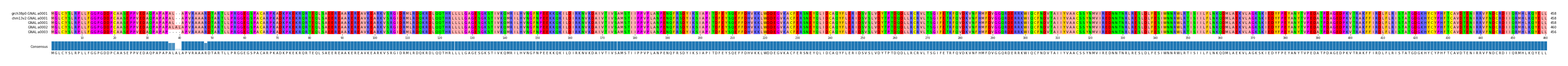 Multiple Alignments (by translate haplotype frequency)