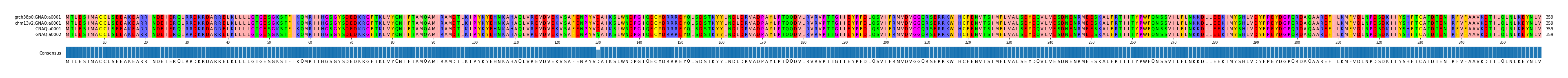 Multiple Alignments (by translate haplotype similarity)